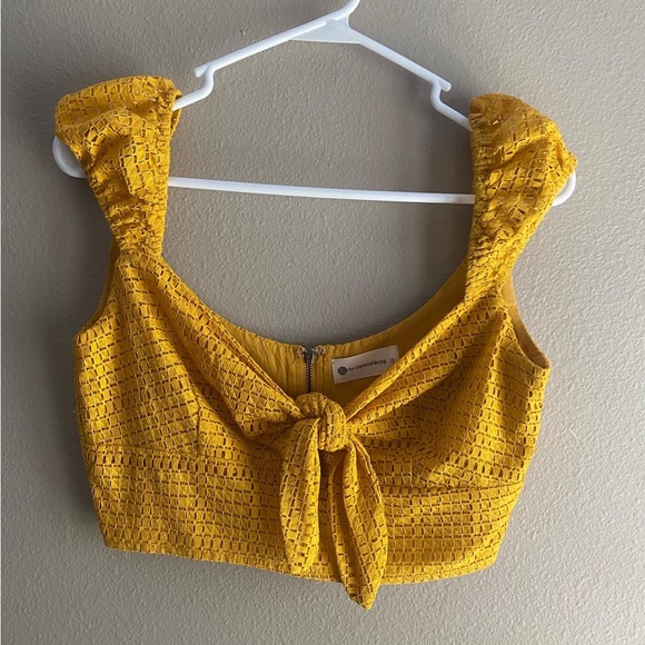 The Impeccable Pig Crop Top - Picture 1 of 2